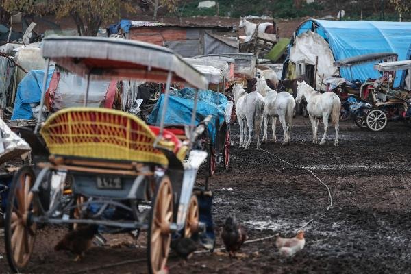 Adalar'da faytonlar 3 aylığına yasaklandı