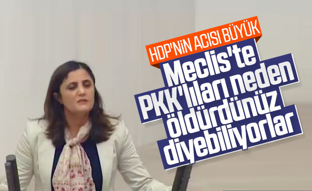 HDP, Ağrı'da öldürülen teröristlere üzüldü