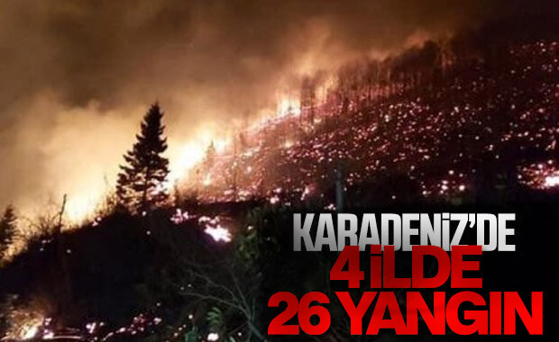 Karadeniz'de 4 ilde 26 noktada yangın