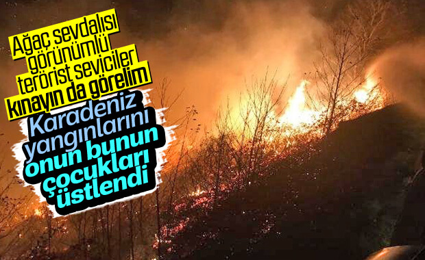 Karadeniz'de çıkan yangınları PKK sahiplendi