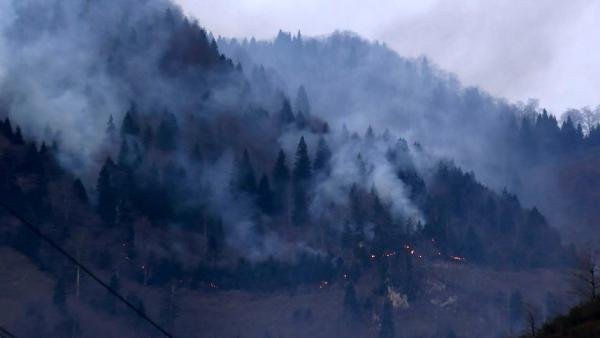 Karadeniz'de 55 yangından 38'i söndürüldü 