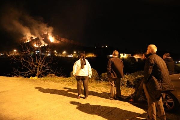 Karadeniz'de 55 yangından 38'i söndürüldü 