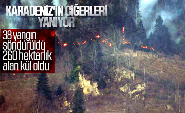 Karadeniz'de 55 yangından 38'i söndürüldü