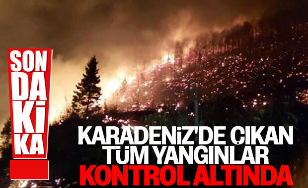 Karadeniz'de tüm yangınlar kontrol altına alındı 