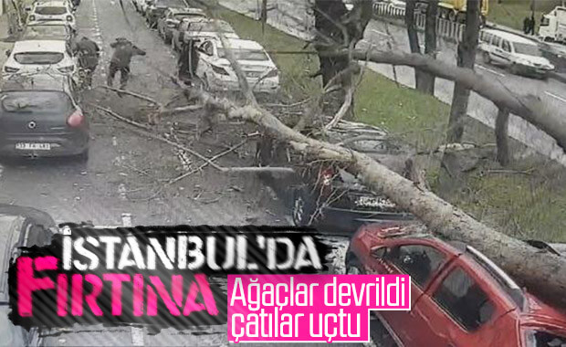 İstanbul'da fırtına: Ağaç yayaların üzerine devrildi