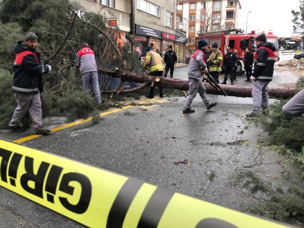 İstanbul'da fırtına: Ağaç yayaların üzerine devrildi