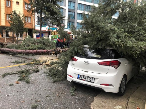 İstanbul'da fırtına: Ağaç yayaların üzerine devrildi