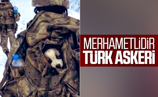 Mehmetçik, karlı arazide bulduğu yavru köpeği yanına aldı