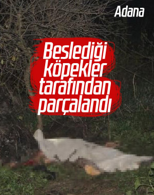Adana'da köpeklerin saldırığı kişi hayatını kaybetti