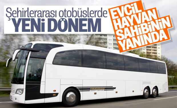 Evcil hayvanlar da yolcu otobüslerine girebilecek