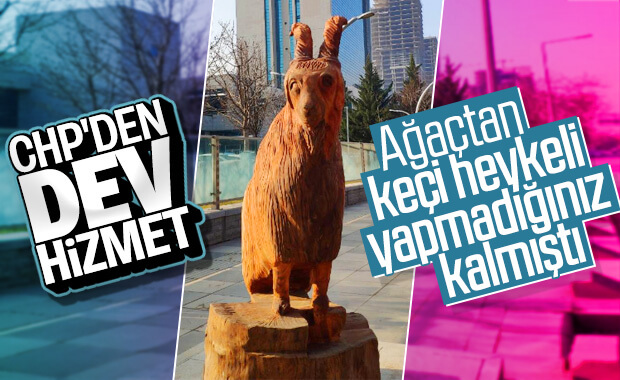 Ankara'da ağaçlar heykel oldu
