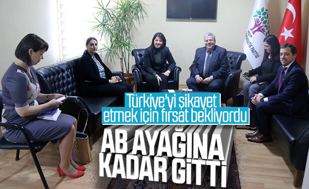 HDP, şikayetlerini AB'ye anlattı
