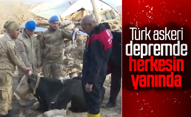 Depremden etkilenen hayvanlara da yardım gitti
