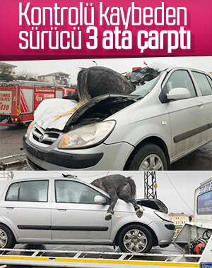 İstanbul’da korkunç kaza: 3 at telef oldu