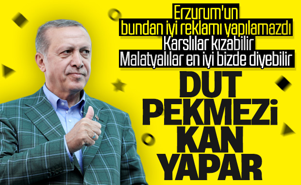 Cumhurbaşkanı Erdoğan'dan dut pekmezi tavsiyesi 