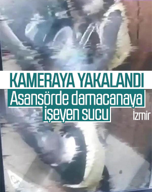 İzmir'de sucu damacanaya idrarını yaptı