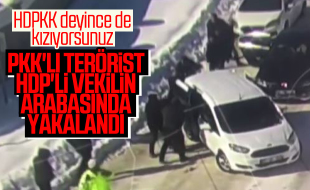 PKK'lı terörist HDP'li vekilin evinde bulundu