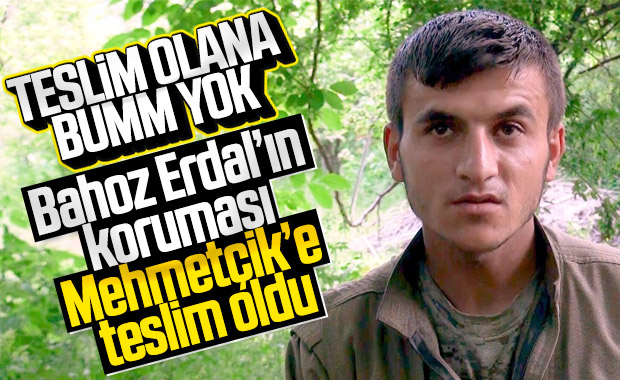 Bahoz Erdal kod adlı teröristin koruması teslim oldu