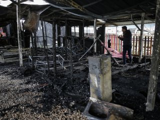 Midilli Adası'nda sığınmacı çocukların okulu yandı
