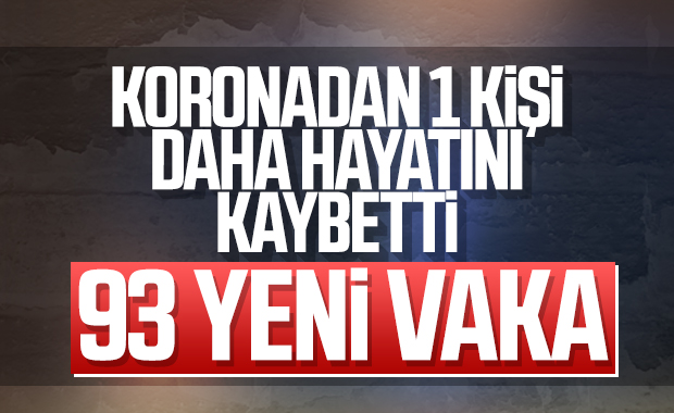 Türkiye'de koronavirüs sebebiyle 1 kişi daha öldü