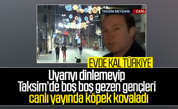 Taksim Meydanı'ndaki gençleri canlı yayında köpek kovaladı