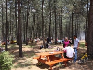 Tarım ve Orman Bakanlığı'ndan mangal yasağı