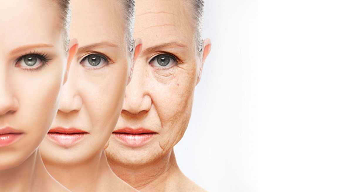 anti aging nedir
