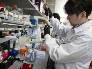 Dünyada korona aşısı çalışmalarında son durum