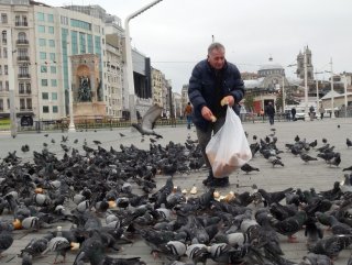 Taksim Meydanı'nda aç kalan kuşları besledi
