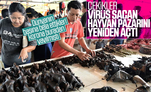 Çin'de vahşi hayvan pazarları yeniden kuruldu