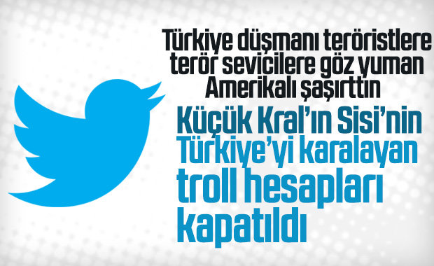 Twitter, Türkiye'yi hedef gösteren hesapları sildi