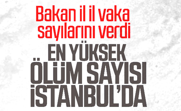 Türkiye'de illere göre vaka ve ölü sayısı dağılımı