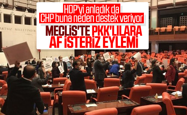HDP'liler Meclis'te infaz yasasını protesto etti