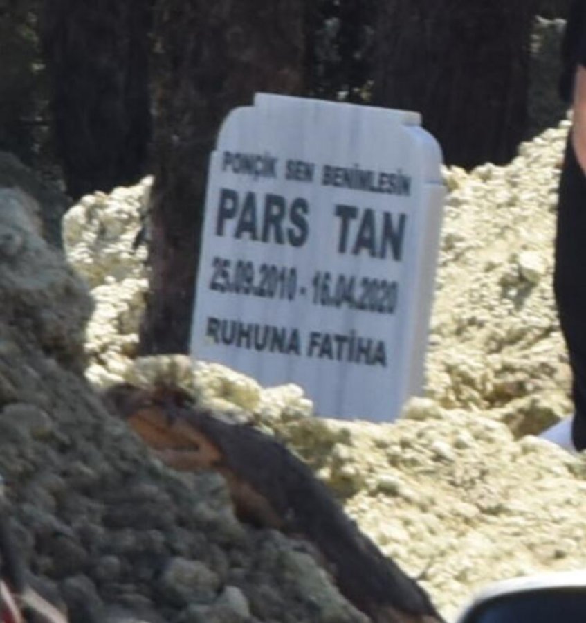Pars'ın mezar taşı büyük üzüntü yaşattı 