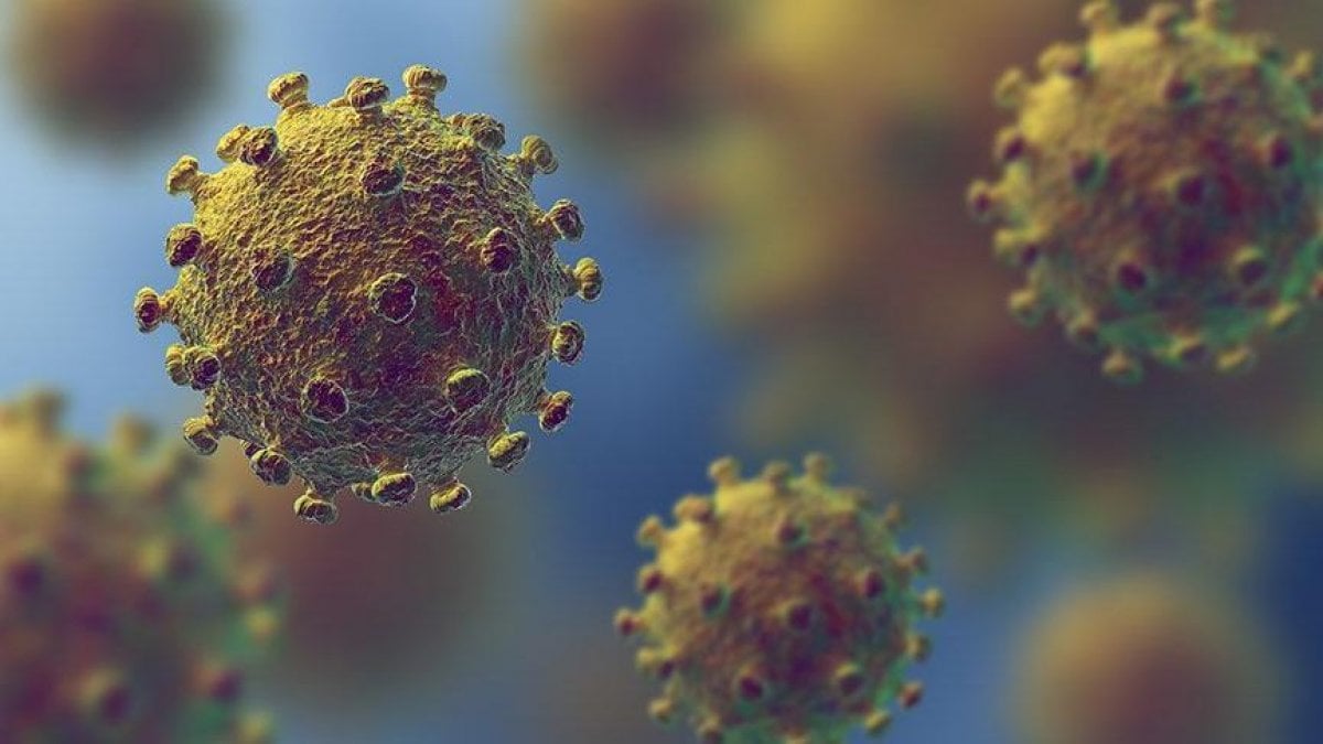 Bilim Kurulu Üyesi Çelik: Virüs 27 gün vücutta kalabilir