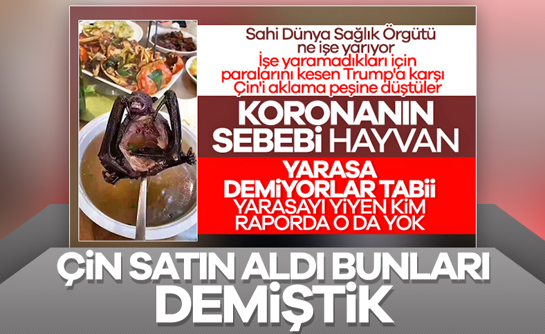 Çin’den DSÖ’ye 30 milyon dolarlık bağış