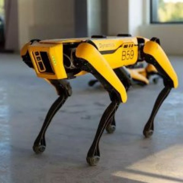 Boston Dynamics’in robot köpeği Spot, hastanelerde kullanılıyor