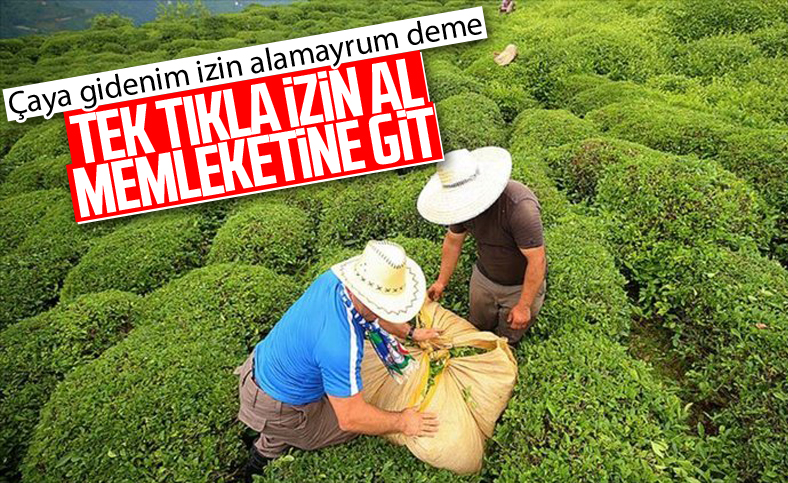 İçişleri Bakanlığı'dan çay üreticilerinin seyahat iznine ilişkin genelge