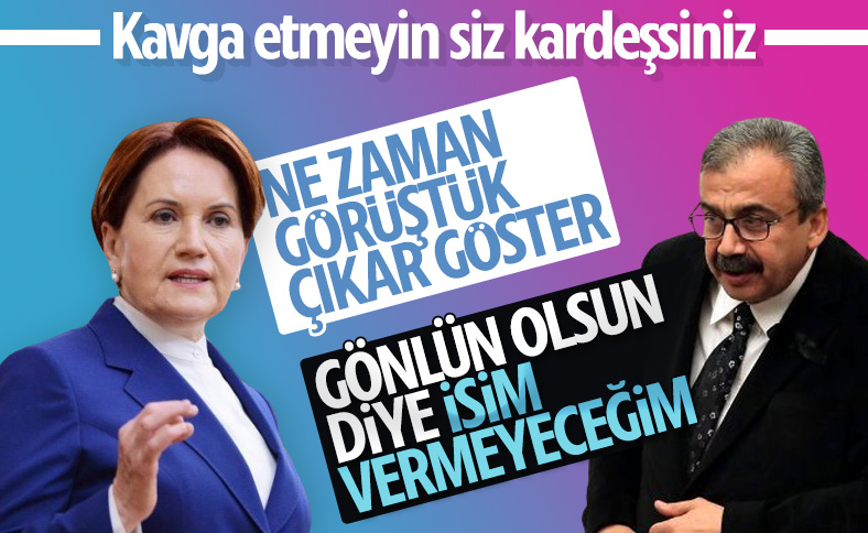 Sırrı Süreyya Önder'den İyi Parti'ye yanıt