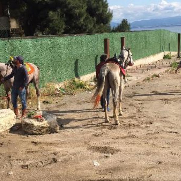 Plajda atlarıyla gezen ciritçilere 16 bin TL ceza