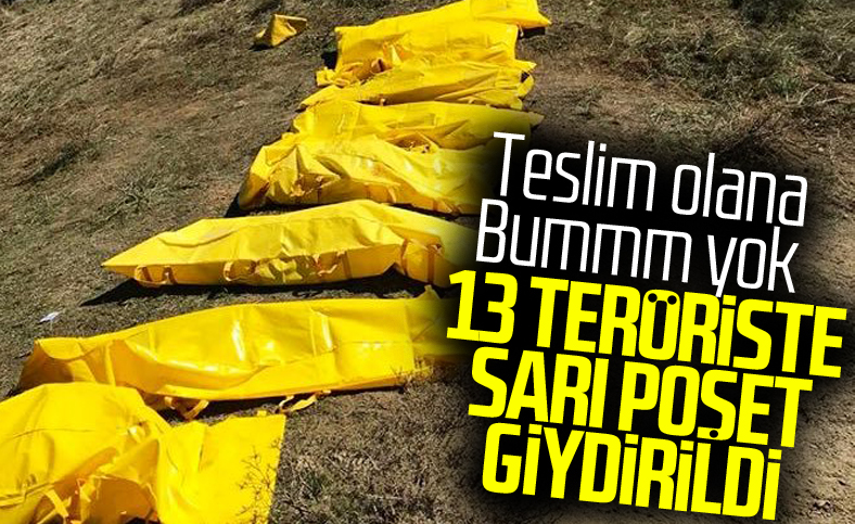 Haftanin, Zap, Hakurk ve Gara'da 13 terörist öldürüldü