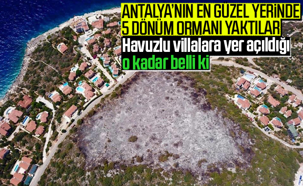 Antalya Kaş'ta şüpheli orman yangını 