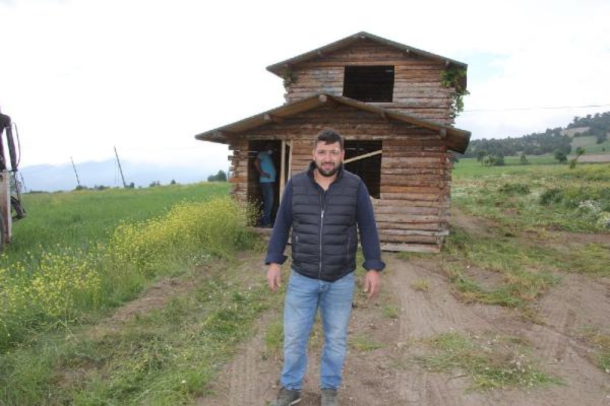 Arkadaşlarının anısı için ahşap evi taşıdılar