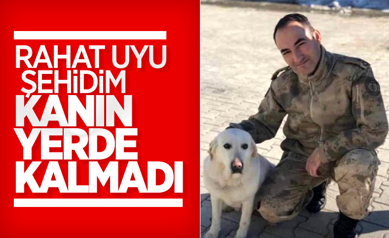 Zafer Akkuş'u şehit eden terörist öldürüldü