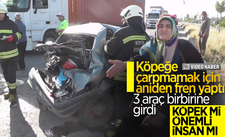 Konya'da yavru köpek kazaya neden oldu