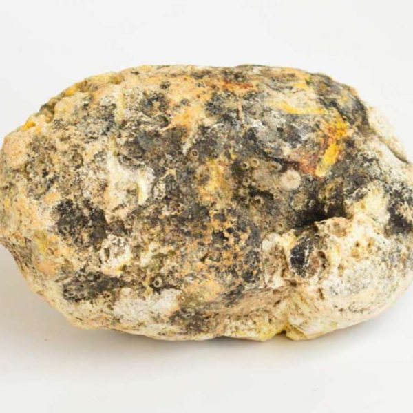 What is whale vomit – Kimdeyir