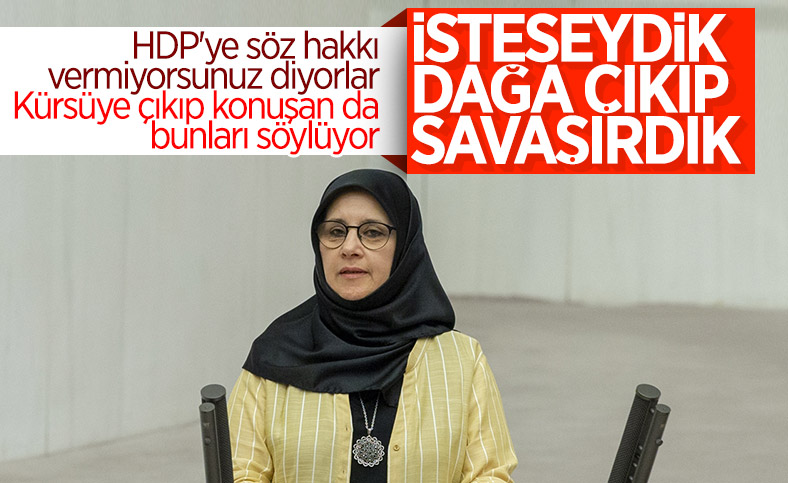 HDP'den Meclis'te terör propagandası
