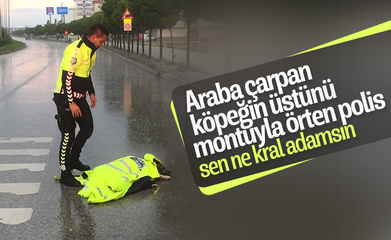 Yozgat'ta polis, montuyla köpeği korudu