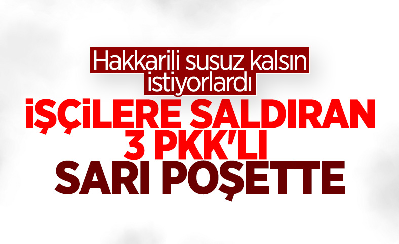 Hakkari'de işçilere saldıran PKK'lılar öldürüldü