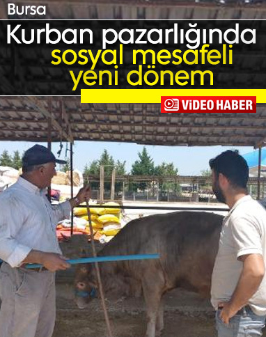 Bursa'da sosyal mesafeli hayvan pazarlığı 